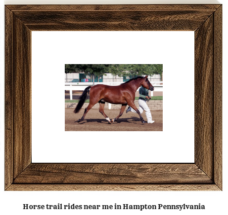 horse trail rides near me in Hampton, Pennsylvania